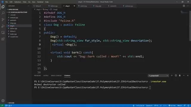 C++ курс 31 час (от начинающего до продвинутого) на английском языке - часть 8 из 8