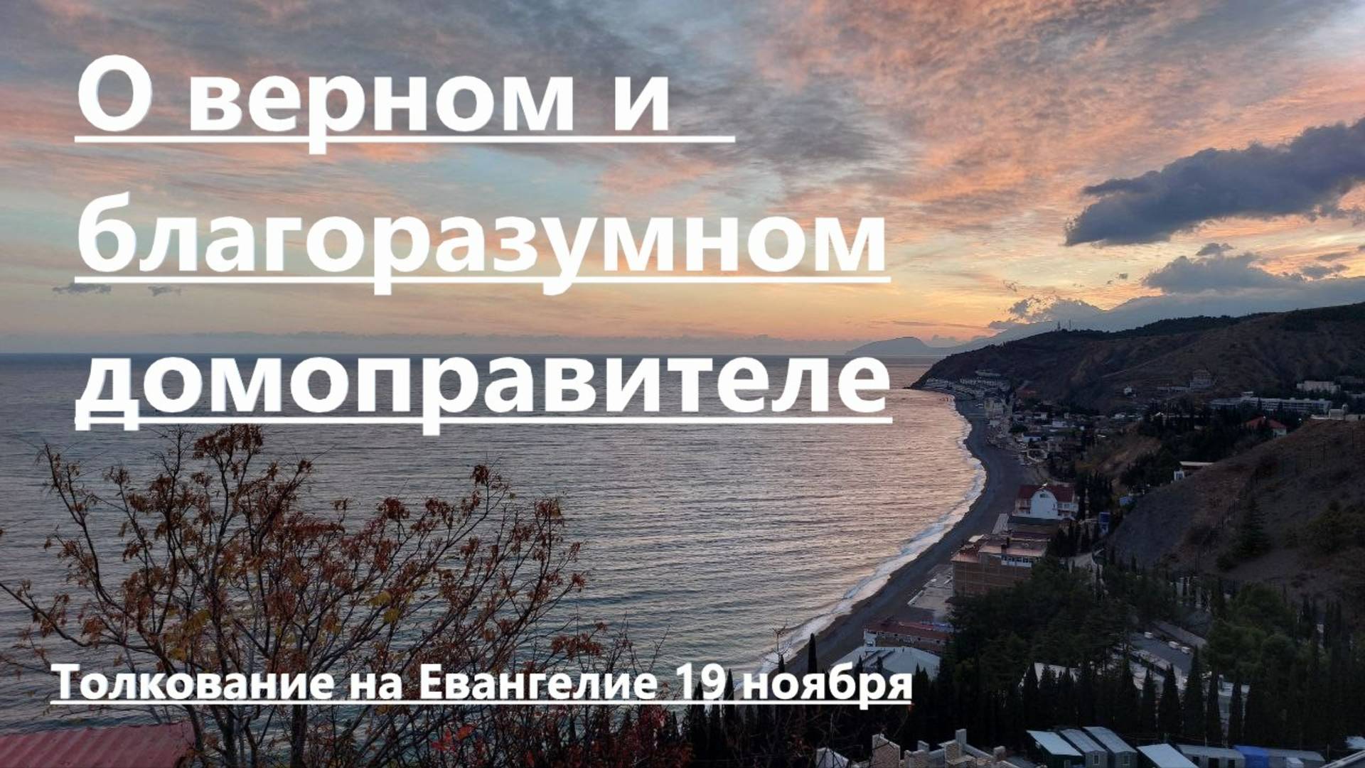 Токование на Евангелие  19 ноября. О ВЕРНОМ И БЛАГОРАЗУМНОМ ДОМОПРАВИТЕЛЕ. Священник Никита Полтава.