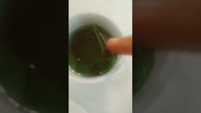 Хай всем доброго утра и бодрящего дня . Кто уже проснулся сколько на часах? #рекомендации #dance