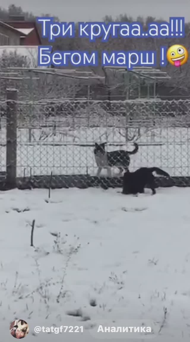 Попробуй ослушайся тут)))