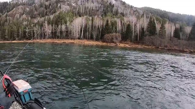#FISHING_video