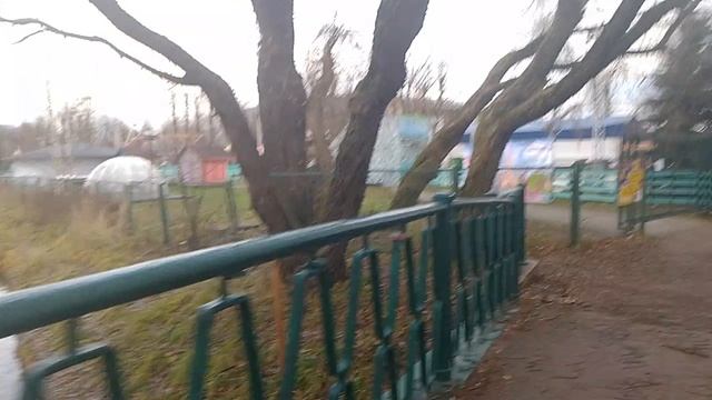 VID_20241119_143311.mp4