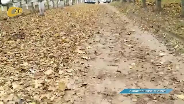 ЖИТЕЛЬНИЦА ЖЕЛЕЗНОГОРСКА ПОЖАЛОВАЛАСЬ НА НЕСВОЕВРЕМЕННУЮ УБОРКУ ЛИСТВЫ С ТРОТУАРОВ В 7-М МИКРОРАЙОНЕ