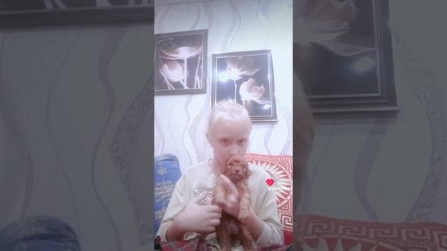 Лапки🥰