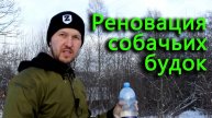 Модернизация будок для собак. Диоген вернулся в родные края.