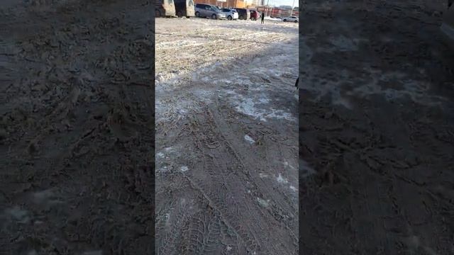 ОДНА ИЗ ПРИЧИН ДТП