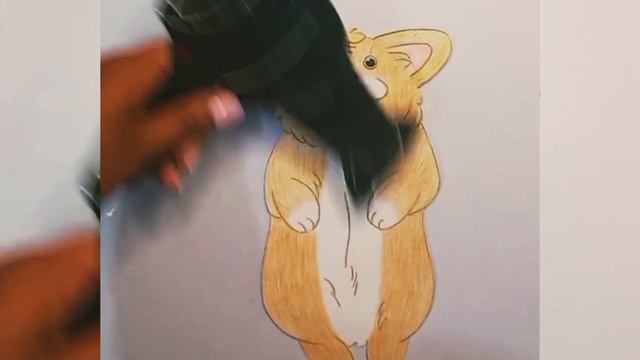Моем щеночка 🐕