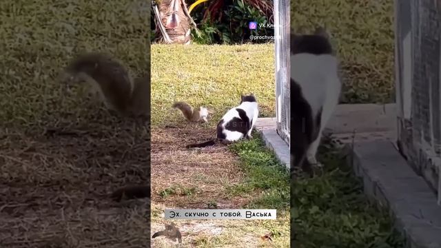 1000186186.mp4