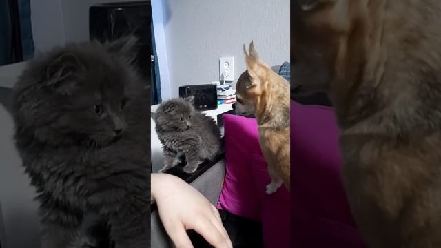 Дружба с детства