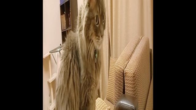Мама ты почему на меня не смотришь?
