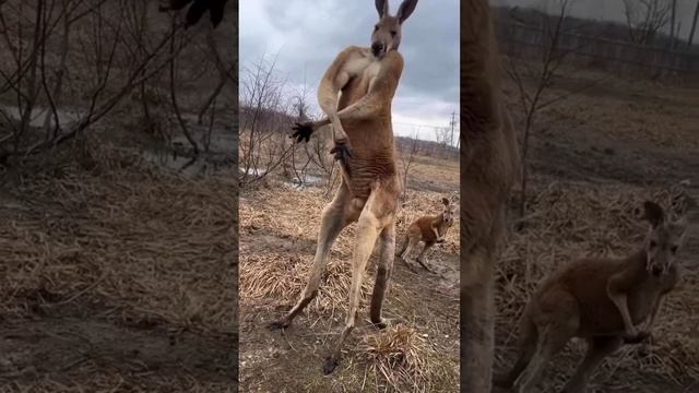 Подпишись на Нас для тебя это пустяк, а нам будет очень приятно