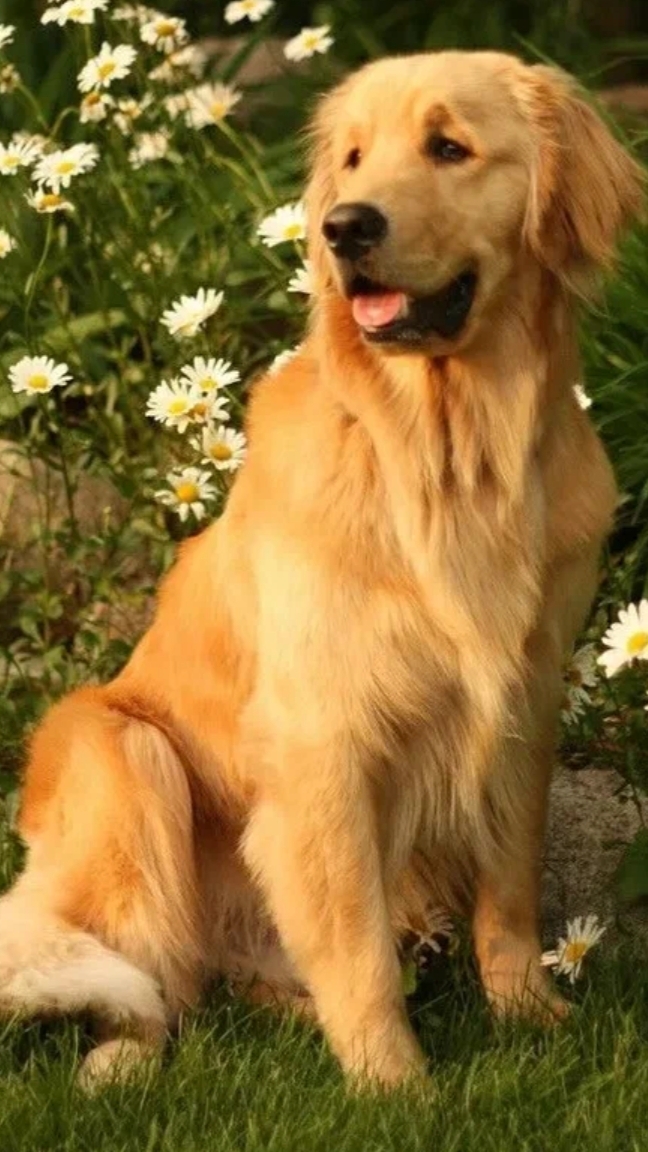 очередное враньё