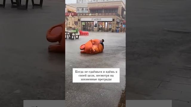 1000023032.mp4