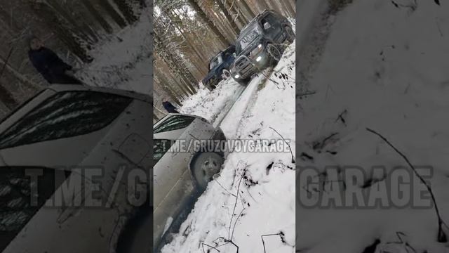 покатушки по лесу