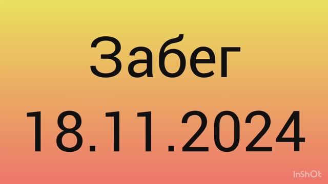 Забег 18.11.2024