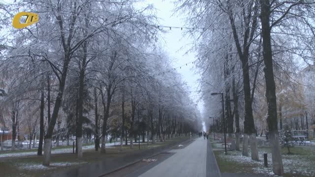 РУБРИКА "БЕЗ КОММЕНТАРИЕВ"
