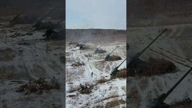 работа сразу 6-ти Гиацинтов