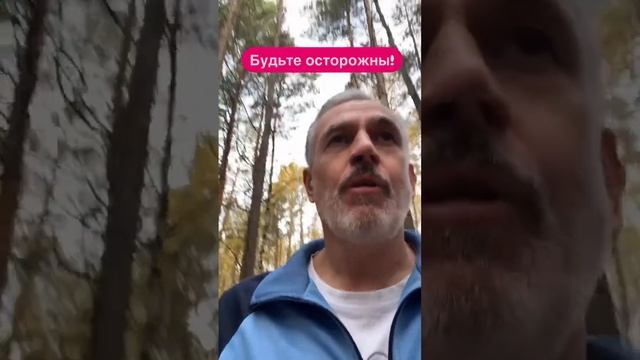 Не слушай чужих советов!