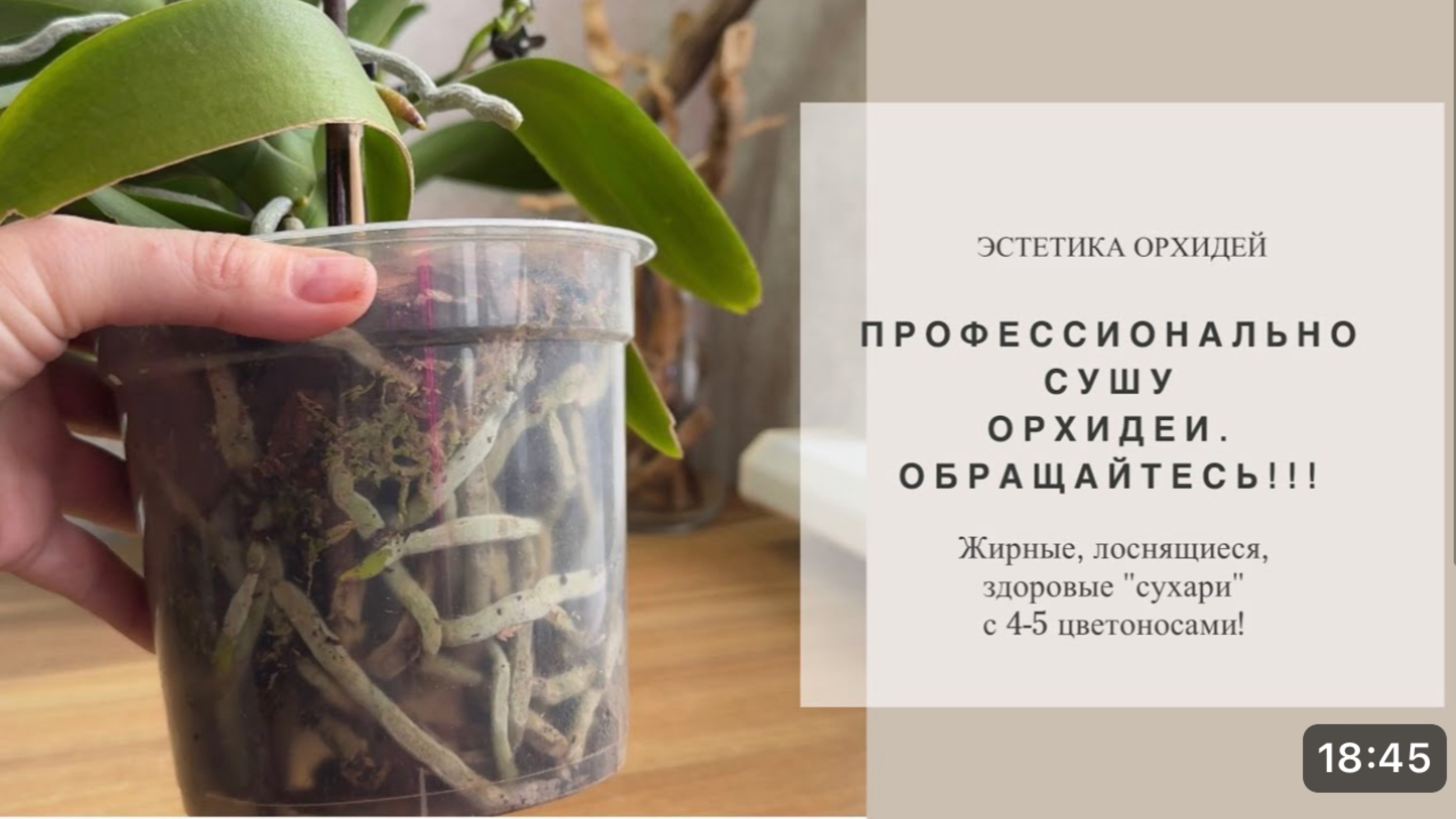 Полив или его отсутствие 🤷♀️😎