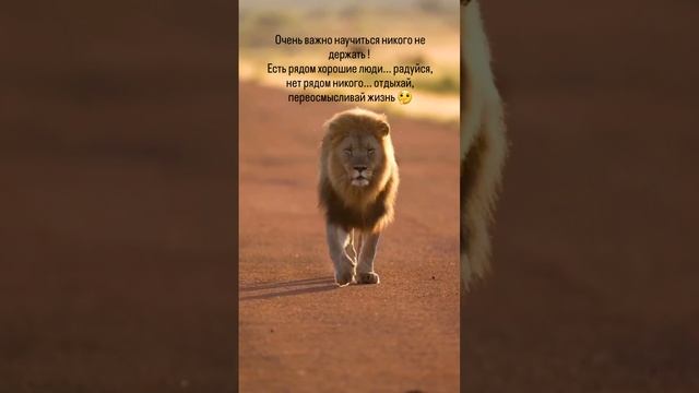 Именно так