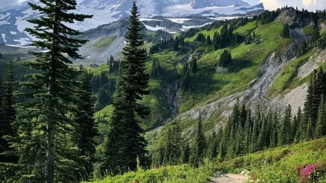 красота   природы