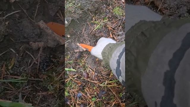 ИМПЕРСКАЯ МОНЕТА