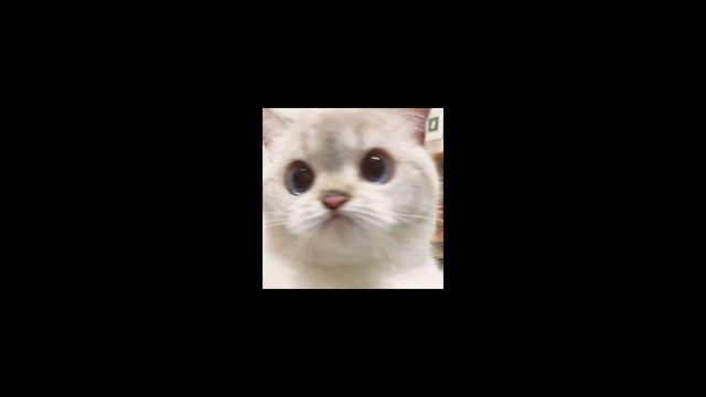 GLOBAL FF - Hello speed up