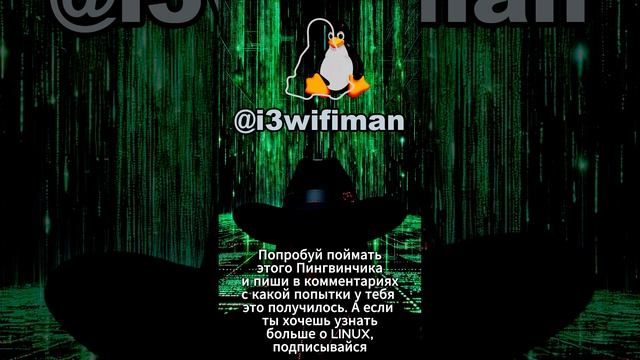 Попробуй поймать Пингвинчика GNU Linux!