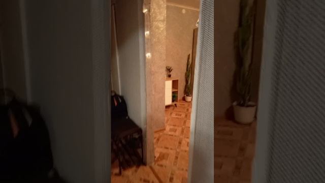 1000097148.mp4