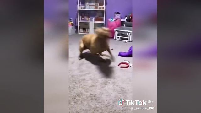 Я в 8:00 утра когда надо в школу