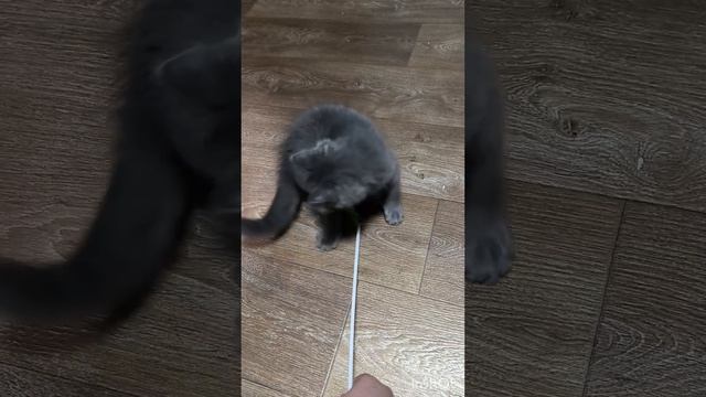 Как же быстро я вырос😀