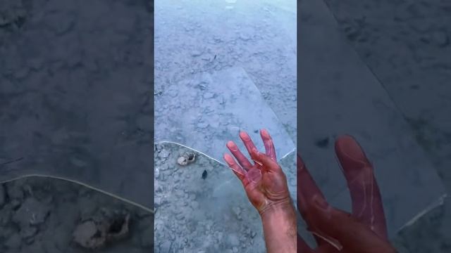 А вы любите природу?