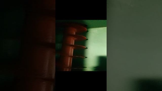 VID_20241114_120042.mp4