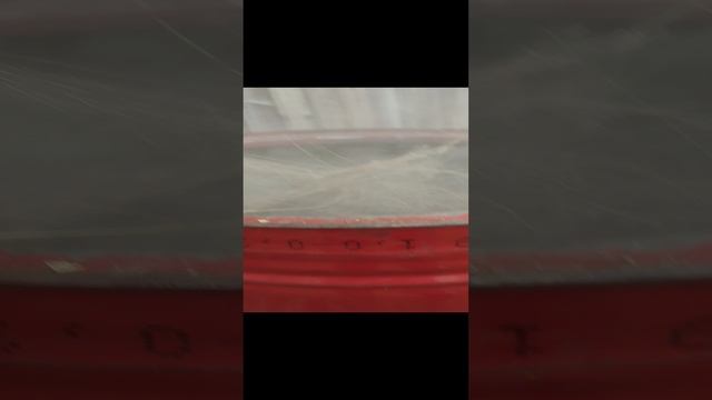 1000168735.mp4