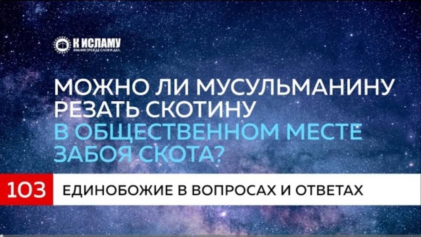 Вопрос 103. Можно ли мусульманину резать скотину в общественных местах забоя скота  К Исламу