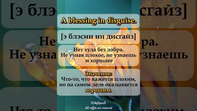 Фразы дня: Blue-sky thinking - Творческое мышление, A blessing in disguise - Нет худа без добра.