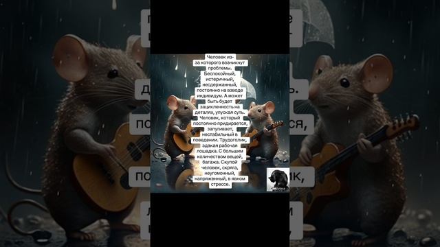 Карта дня на 19 ноября
