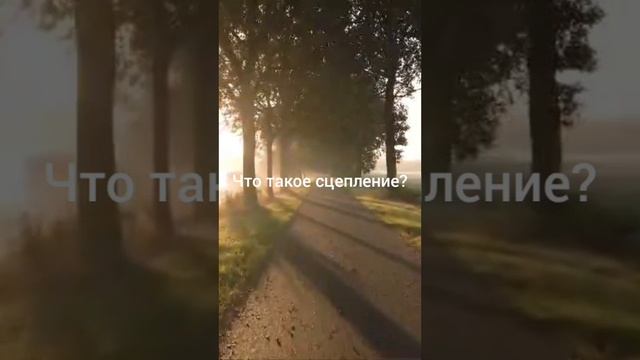 Что такое сцепление