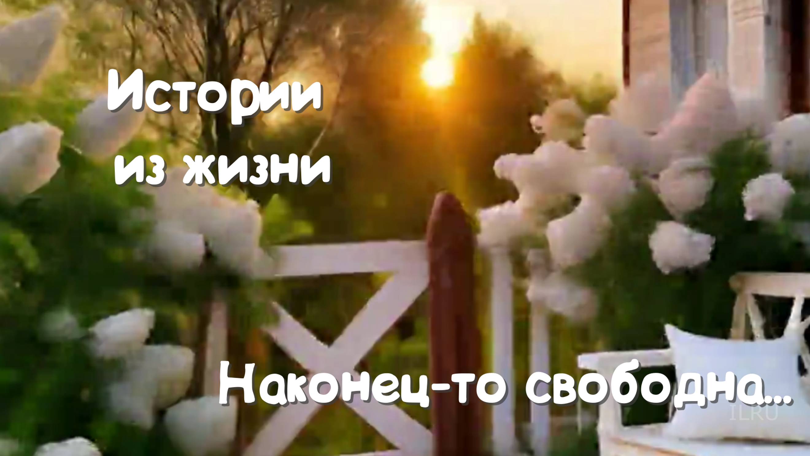 Истории из жизни - Наконец-то свободна...