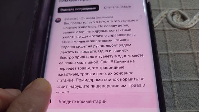 Разве мы не правы? Ответ на комментарии под видео Дети просят завести морских свинок