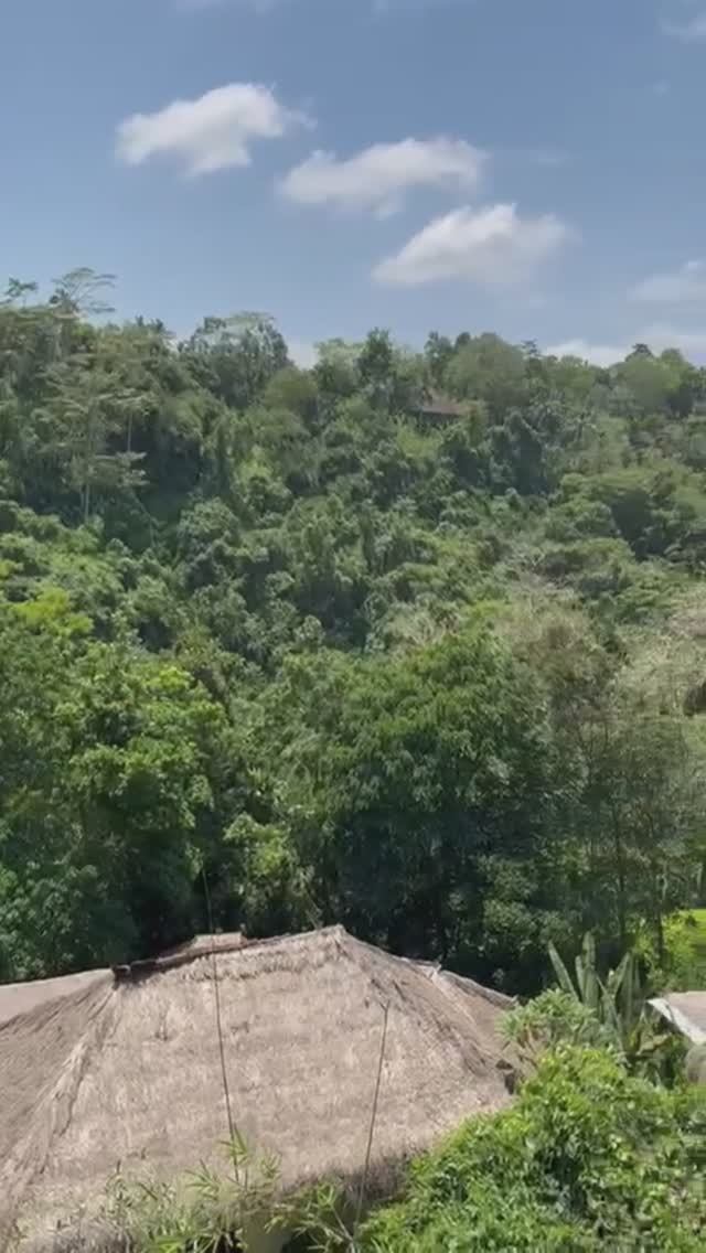 Звуки горного курорта Убуд, о.Бали, снято из отеля Nandini Jungle Ubud, осень 2024