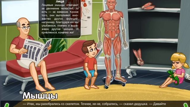 Планета человек

Строение тела

Мышцы