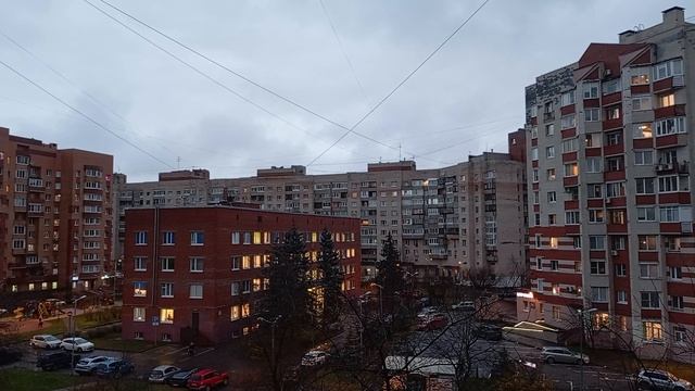 19.11.2024 . Погода Петербург . 16:23 . +3°