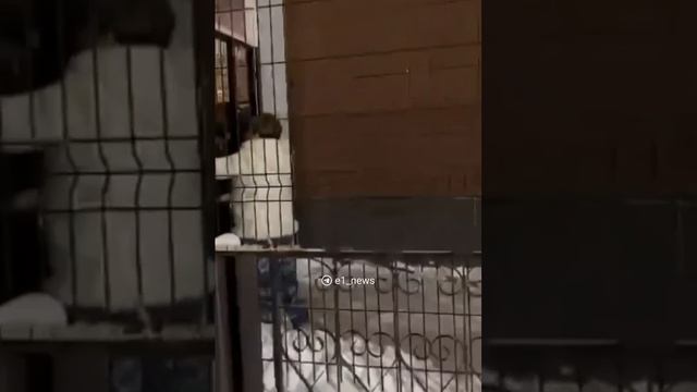 Не толкайте! Давайте будем цивилизованнее!