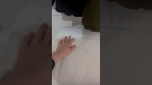 Дом вверх дном #shotrs