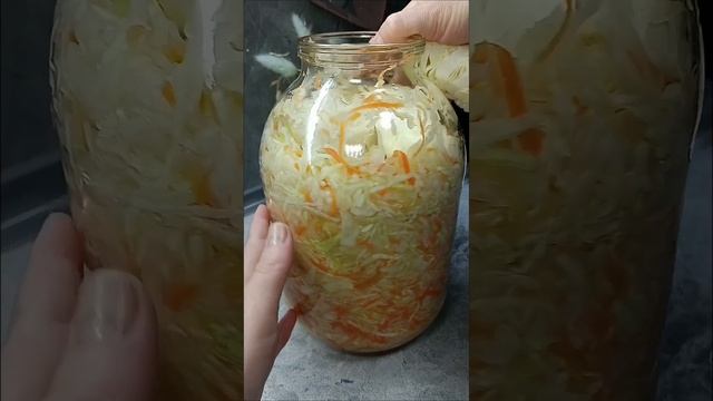 квашеная капуста
