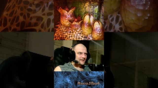 ⚡#Shorts⚡Легкие интересности со стримовConariumКуда нас понесло