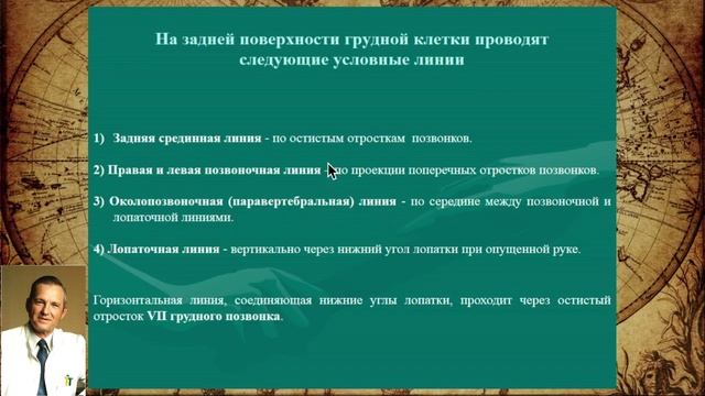 АНАТОМИЯ МОЛОЧНЫХ ЖЕЛЕЗ. ПРОФЕССОР КИЖАЕВ  Е. В.