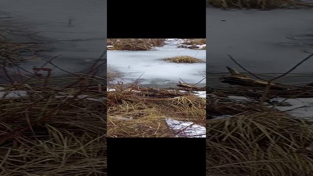 зашел в гости !!!