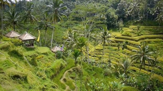 Bali. Бали. Индонезия. Меркурий - туристическое агенство.